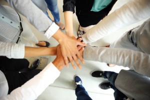 partnerzy